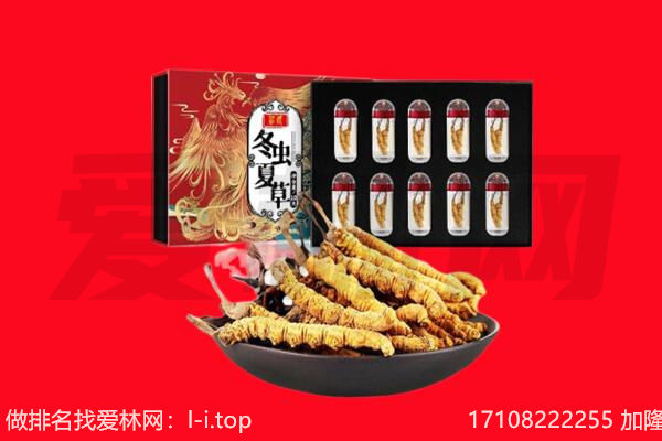 洛阳回收虫草.jpg